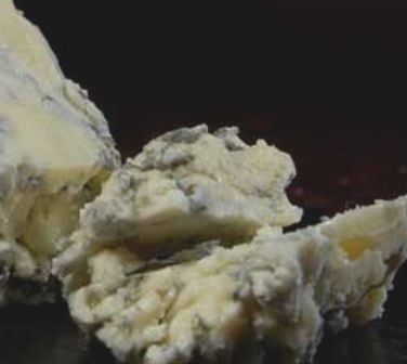 Slow Food lancia una  petizione  per salvare uno dei formaggi più antichi di Inghilterra